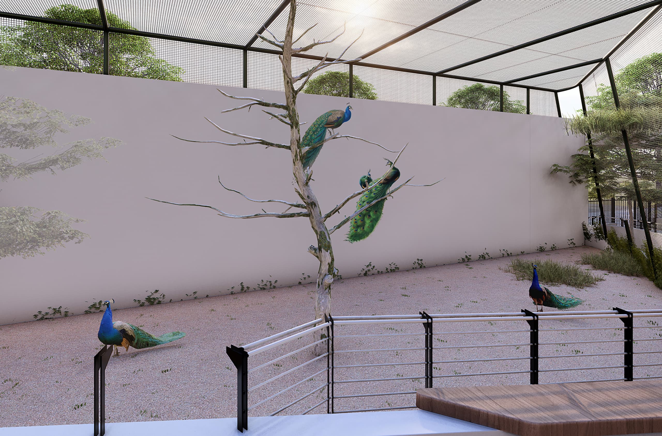 The loop opens to a wetland habitat where ducks and geese share shallow water with riparian planting and natural logs. Dappled shade, textured groundcover, and varied water depths enrich the micro‑ecosystem and the visitor’s view.